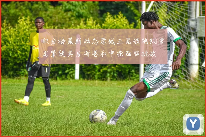 积分榜最新动态蓉城玉昆领跑铜梁龙紧随其后海港和申花面临挑战