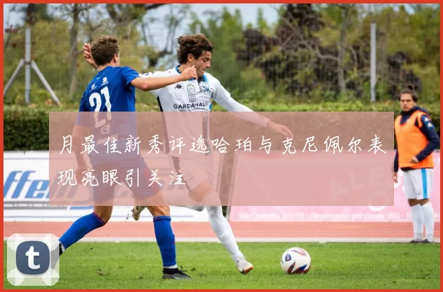 月最佳新秀评选哈珀与克尼佩尔表现亮眼引关注